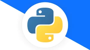 Python Kurs